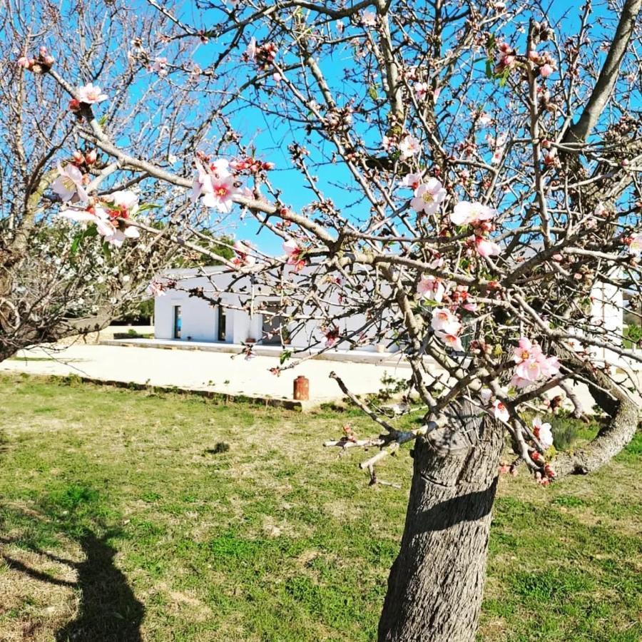 Apartament Casina Pompiliano Nardò Zewnętrze zdjęcie